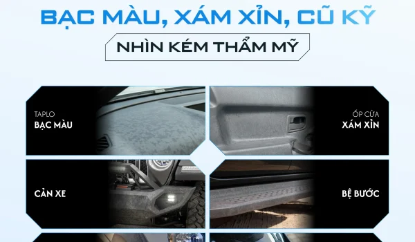 noma-250-phuc-hoi-nhua-nham-nguyen-ban-1.webp