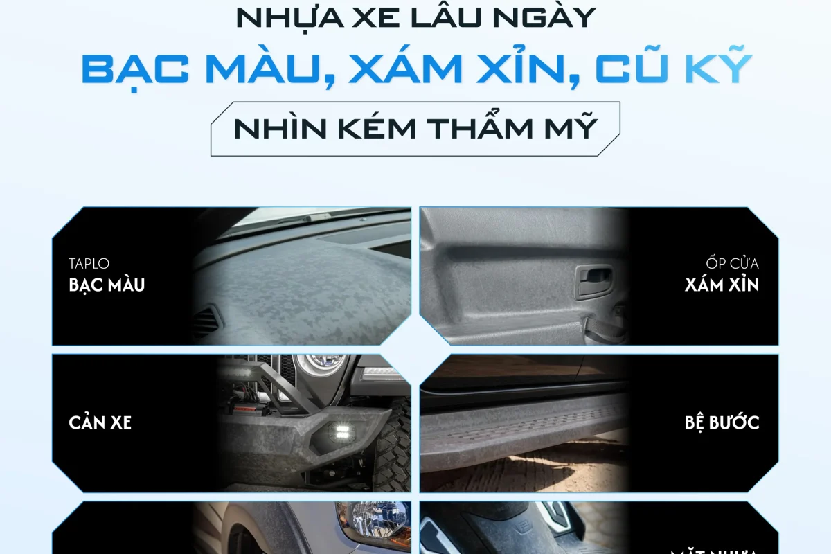noma-250-phuc-hoi-nhua-nham-nguyen-ban-1.webp